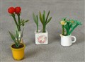 Blommor Lundby, 210501.jpg