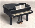 Piano svart, 251125.JPG