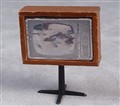 TV ev Lisa, 130727.jpg