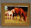 Tavla Lisa hästar,  210815.jpg